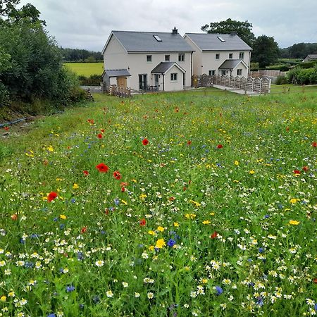 Family Country Cottage With Stunning Mountain Views Myddfai Εξωτερικό φωτογραφία