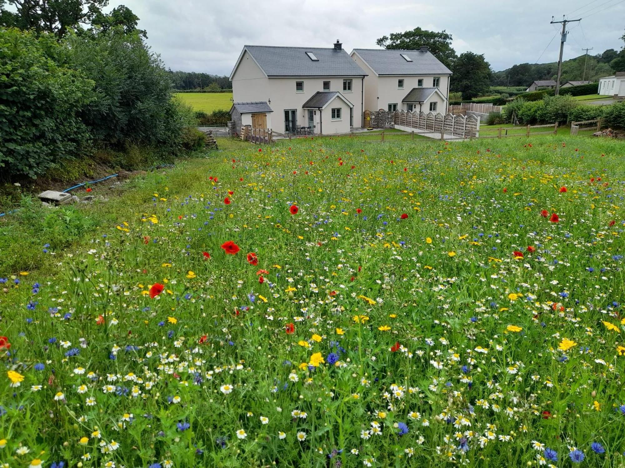 Family Country Cottage With Stunning Mountain Views Myddfai Εξωτερικό φωτογραφία